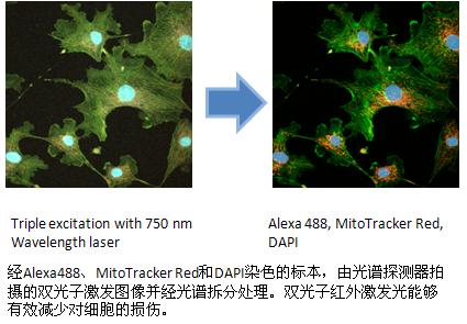 历史上的今天02月23日_02月23日历史上发生的事件_天气网