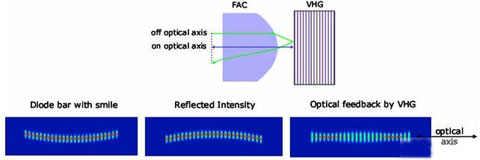 血铅半衰期约28天：进入人体内的铅能彻底清除吗？
